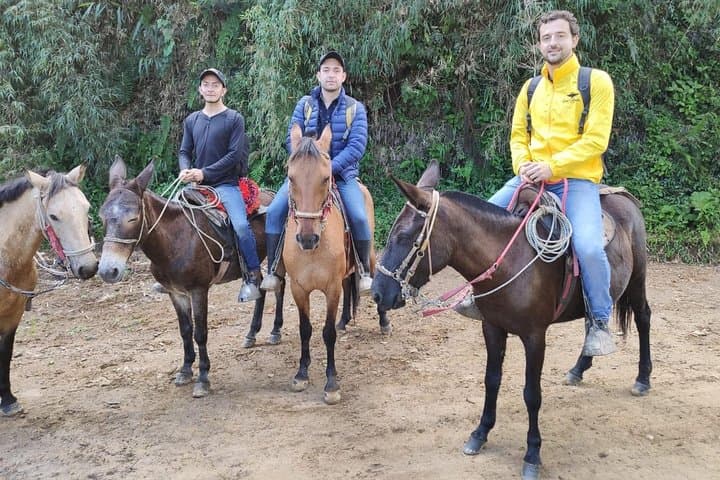 Horseback Riding from Guadalupe to Monserrate — Bogotá Private Day Tour