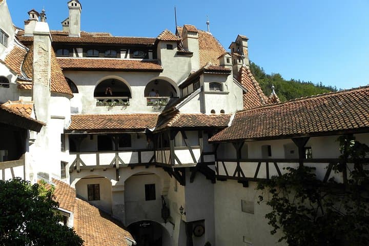 Bran Castle, Peles Palace & Azuga Wine Tasting Day Tour from Brasov photo 3
