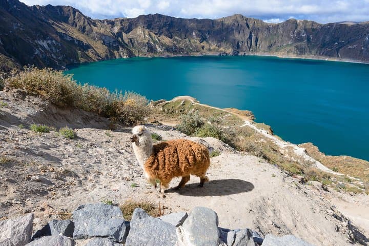 6-Day Ecuador Multisport Adventure: Cotopaxi, Quilotoa, Baños & Amazon Rivers photo 4