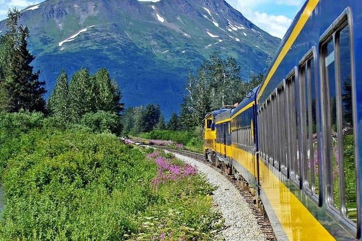 Scenic Alaska Railroad Journey: Anchorage to Seward Same Day Round-Trip photo 5