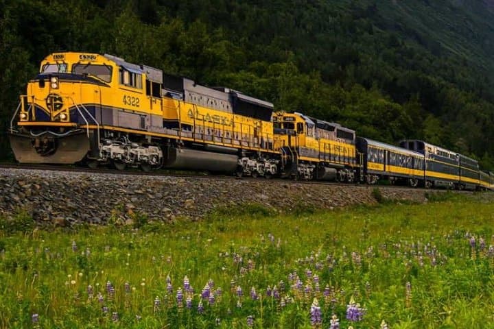 Scenic Alaska Railroad Journey: Anchorage to Seward Same Day Round-Trip photo 6