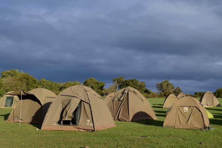 5-Day Northern Tanzania Safari: Tarangire, Serengeti, Ngorongoro & Lake Manyara photo 3