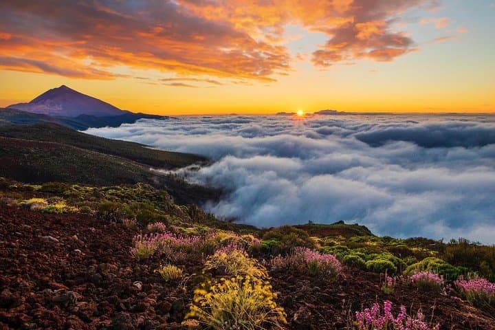 Half-Day Teide National Park Tour — Cable Car, Lava Fields & Roques de García photo 6