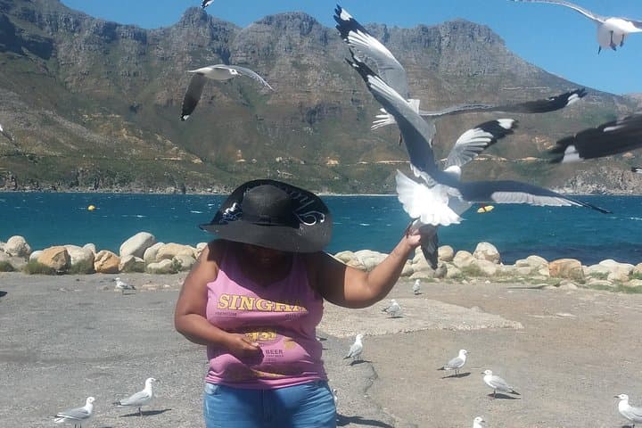 Cape Peninsula Day Tour: Penguins, Cape Point & Table Mountain from Cape Town photo 2