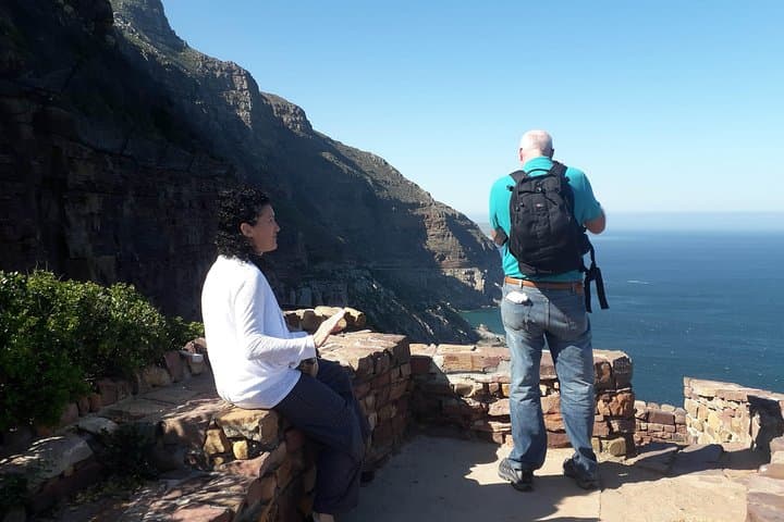 Cape Peninsula Day Tour: Penguins, Cape Point & Table Mountain from Cape Town photo 3