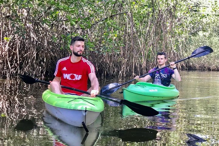 Explore Juan Venado Island: Private Kayak Through Las Peñitas Mangroves
