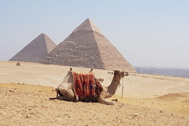 Private Half-Day Giza Pyramids & Sphinx Tour — What to Expect, Tips & Best Times