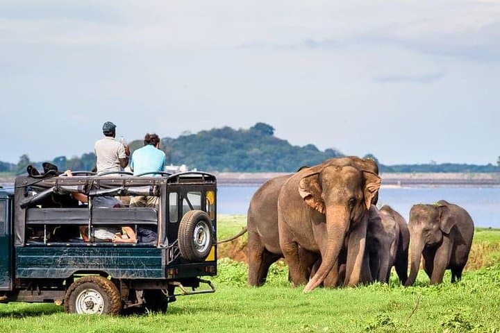 Udawalawe National Park Safari with Naturalist — Sri Lanka Elephant & Birdwatching Jeep Tour