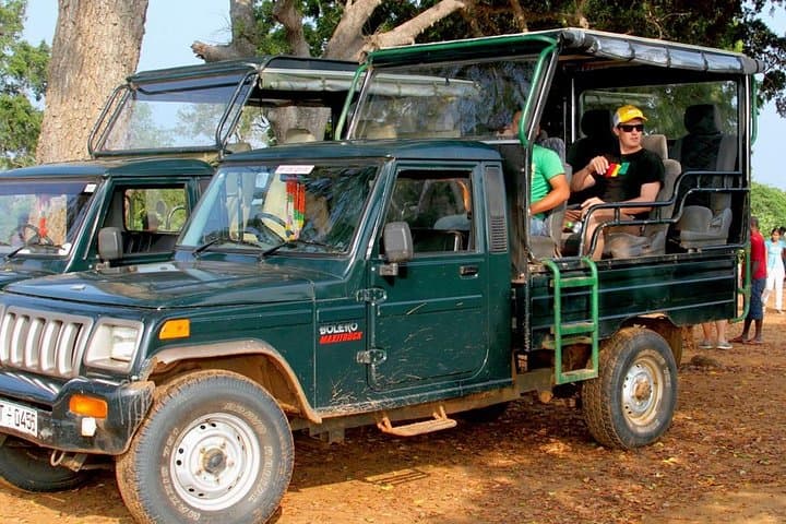 Udawalawe National Park Safari with Naturalist — Sri Lanka Elephant & Birdwatching Jeep Tour photo 4