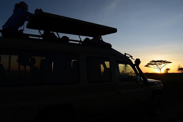 3-Day Serengeti & Ngorongoro Lodge Safari: Big Five Game Drives from Arusha photo 3