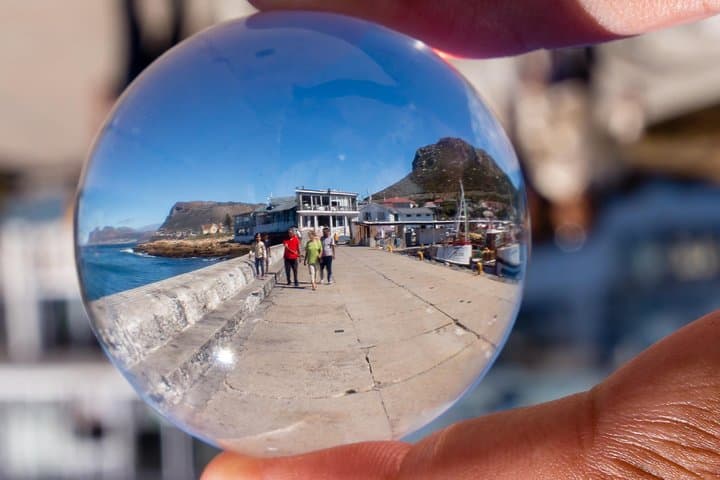 Penguin Encounter at Boulders Beach: Private Half-Day Tour from Cape Town photo 6