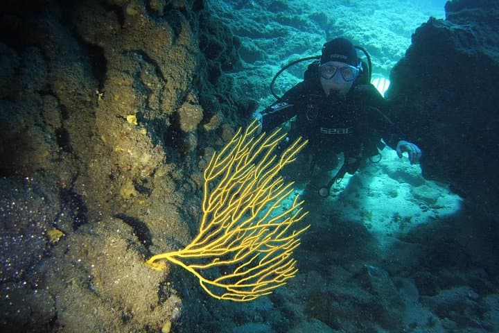 Discover Scuba Diving in Tenerife: First Step to PADI Open Water