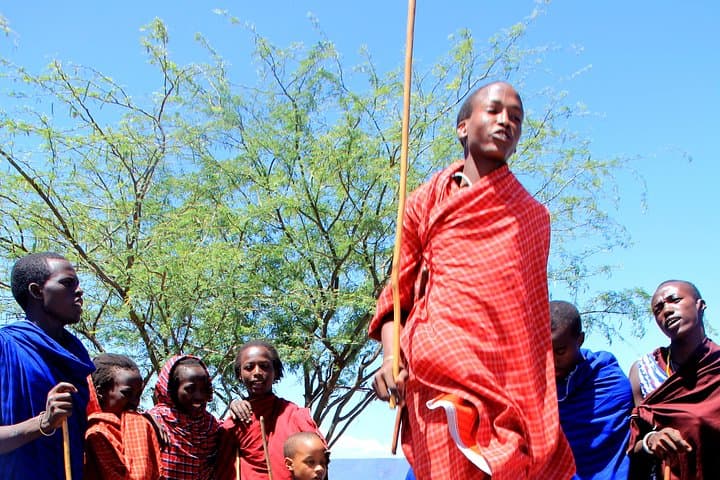Meserani Snake Park Arusha: Live Snakes, Crocodile Feedings & Maasai Culture photo 1
