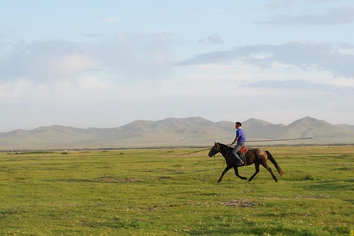 Khustai & Terelj Two-Day Wild Horse Safari from Ulaanbaatar photo 6