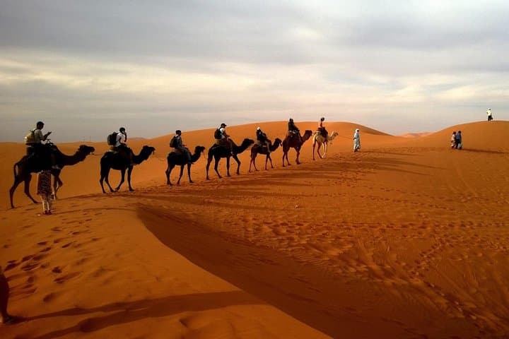 Private Dubai Desert Safari: Dune Bashing, Bedouin Camp & BBQ Dinner photo 2