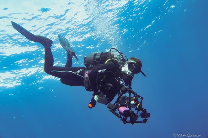 Tenerife Underwater Photography Course — Two-Day Specialty Dive to Master Your Style photo 3