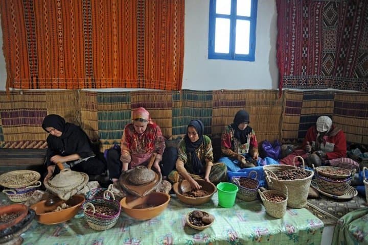 Zat Valley & Atlas Mountains Private Day Trip from Marrakech — Berber Villages, Argan Oil & Mule Ride photo 5