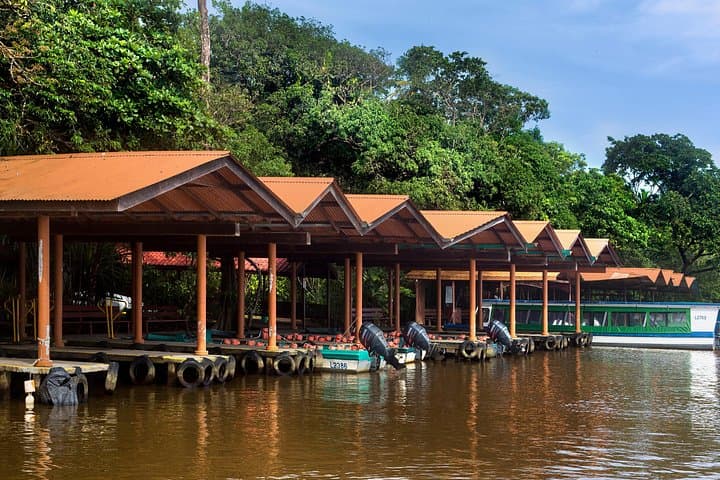 Tortuguero National Park: 1-Night Canal Adventure From San José photo 2