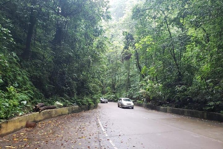 Dunns River Falls Scenic Tour: Climb Ocho Rios’ Famous Waterfall on a Day Trip from Kingston photo 3