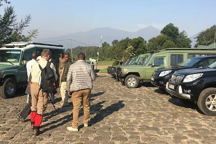 One-Day Gorilla Trekking in Rwanda: Volcanoes National Park Permit & Trek Guide photo 3