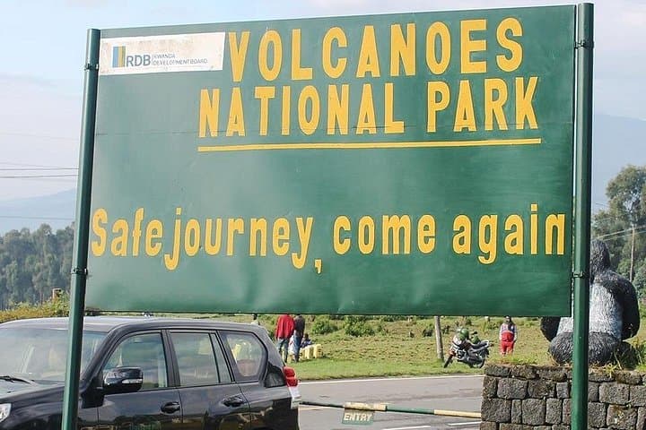 One-Day Gorilla Trekking in Rwanda: Volcanoes National Park Permit & Trek Guide photo 4