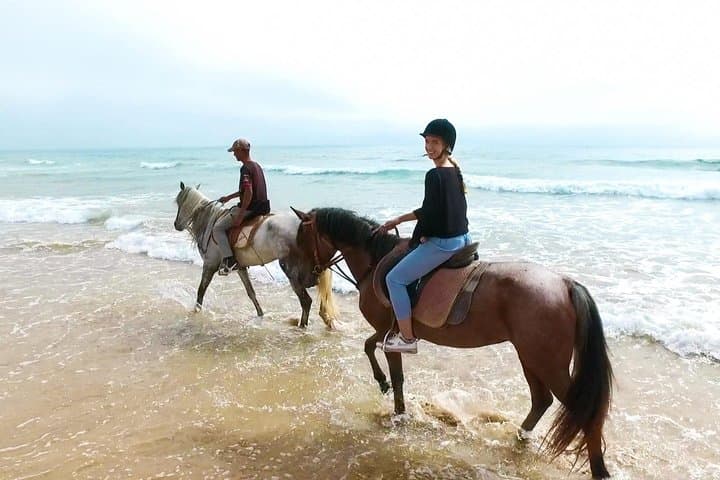 Agadir Camel Ride at Sunset: Dunes, Oued Souss & Flamingos