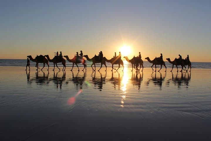 Agadir Camel Ride at Sunset: Dunes, Oued Souss & Flamingos photo 3