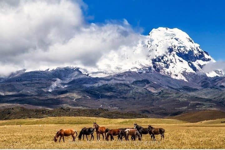 Antisana Volcano Day Tour from Quito — Condors, Paramo Hike & La Mica Lake photo 2