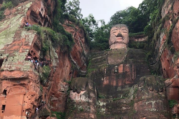 Chengdu Private Day Tour: Giant Pandas & Leshan Giant Buddha by Boat photo 4