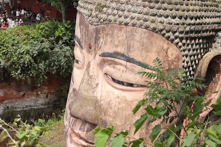 Chengdu Private Day Tour: Giant Pandas & Leshan Giant Buddha by Boat photo 5