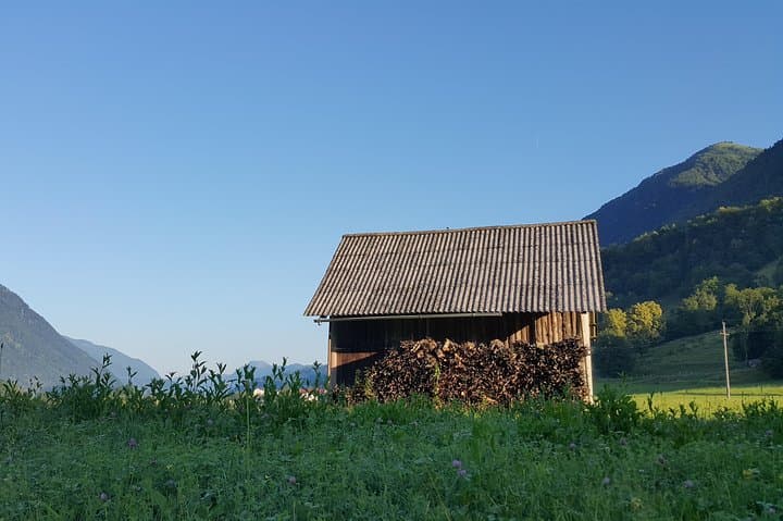 Willys Jeep Adventure: Scenic Soča Valley Vintage Jeep Tour photo 5