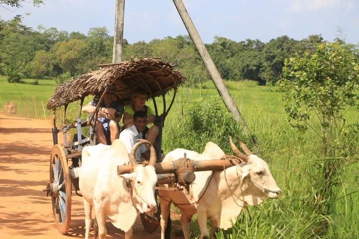 14-Day Private Sri Lanka Loop: Culture, Hill Country Tea, Yala Safari & Coastal Beaches photo 6