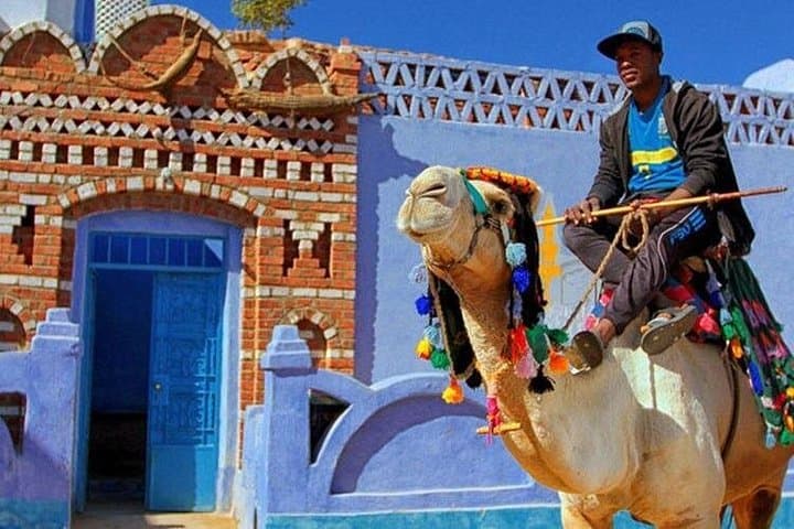 Private Day Trip to Aswan and Nubian Village from Luxor by Car photo 2