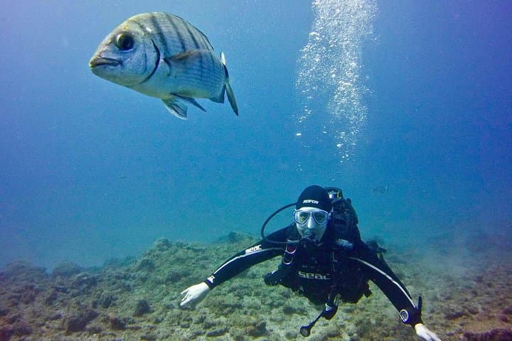 Discover Scuba Diving in Tenerife: First Step to PADI Open Water photo 4