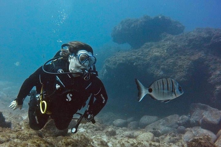 Discover Scuba Diving in Tenerife: First Step to PADI Open Water photo 3