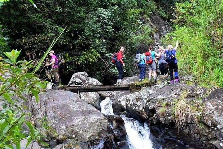 Heeloya Village Trek from Kandy: Day Hike, Village Life & Cooking Experience photo 2