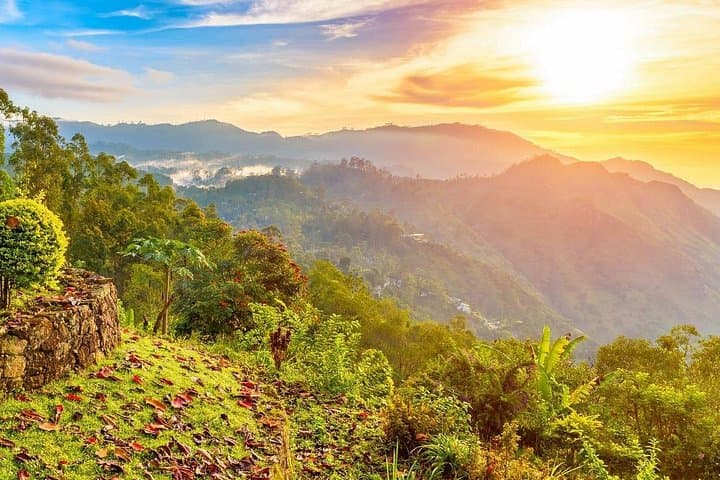 Heeloya Village Trek from Kandy: Day Hike, Village Life & Cooking Experience photo 4