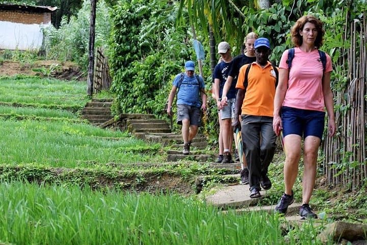 Heeloya Village Trek from Kandy: Day Hike, Village Life & Cooking Experience photo 1