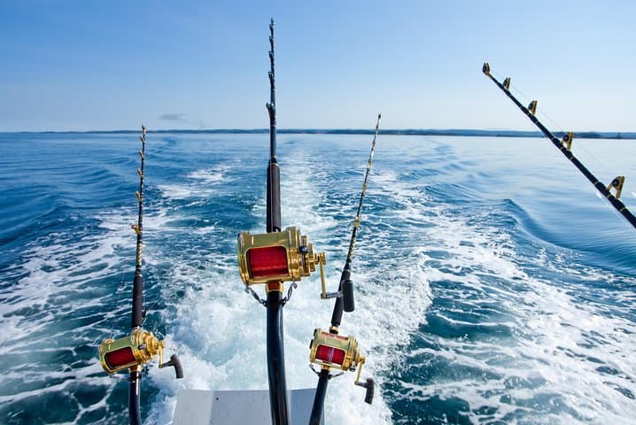 Full-Day Nassau Fishing & Snorkel Charter — Swim with Turtles on a 40' Mega Bite photo 1