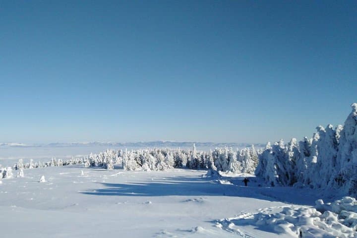 Private 2-Day Snowshoeing in Vitosha: Guided Winter Trek from Sofia photo 2