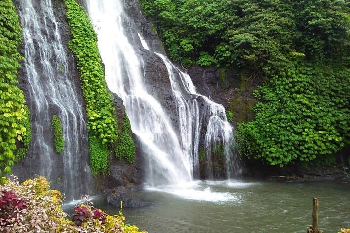 Custom Private Day Tour in Ubud — Bespoke Bali Experiences photo 3