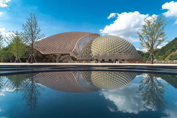 Full-day Nanjing tour: Xuanwu Lake, Niushoushan & Confucian Temple