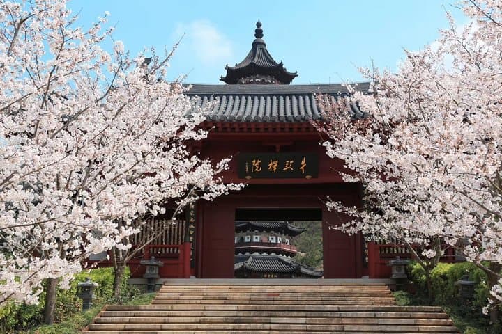 Full-day Nanjing tour: Xuanwu Lake, Niushoushan & Confucian Temple photo 4