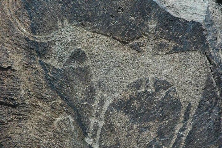 Tamgaly Petroglyphs Day Tour from Almaty — Bronze Age Rock Art & Canyon Walk photo 3