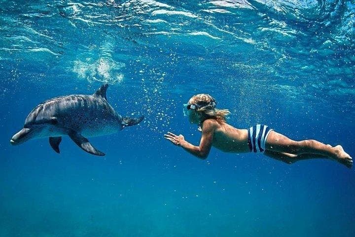 Full-Day Dolphin Swim, Crystal Rock & Ile aux Bénitiers with BBQ Lunch — Mauritius
