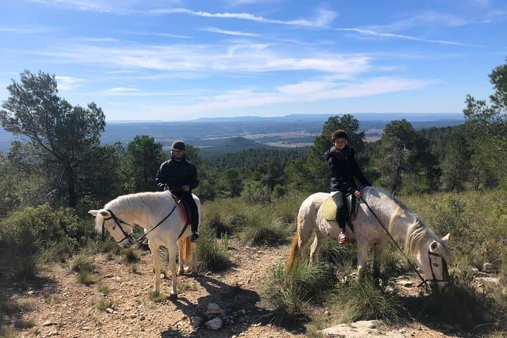 Horseback Riding and Wine Tasting in Utiel-Requena from Valencia photo 3