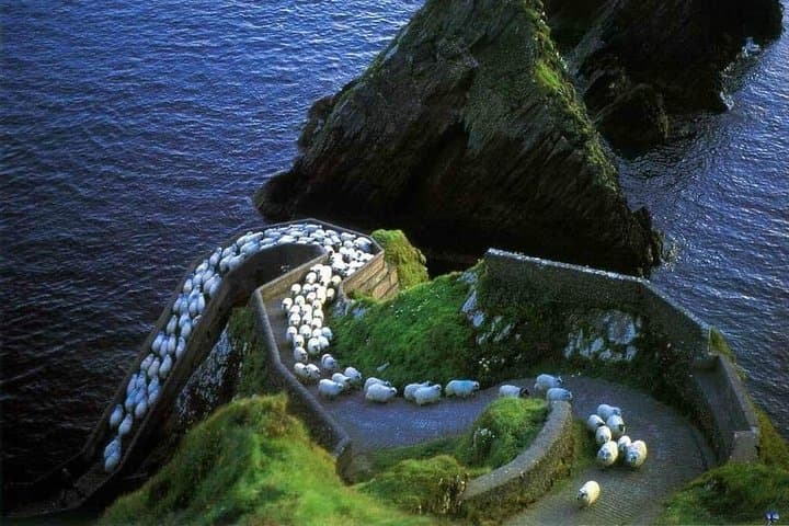 Dingle Peninsula Four-Hour Private Tour: Slea Head, Connor Pass & Coastal Heritage photo 3