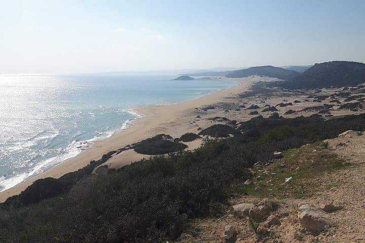 Karpaz Peninsula Day Tour — Wild Donkeys, Apostolos Andreas & Mediterranean Swim photo 3