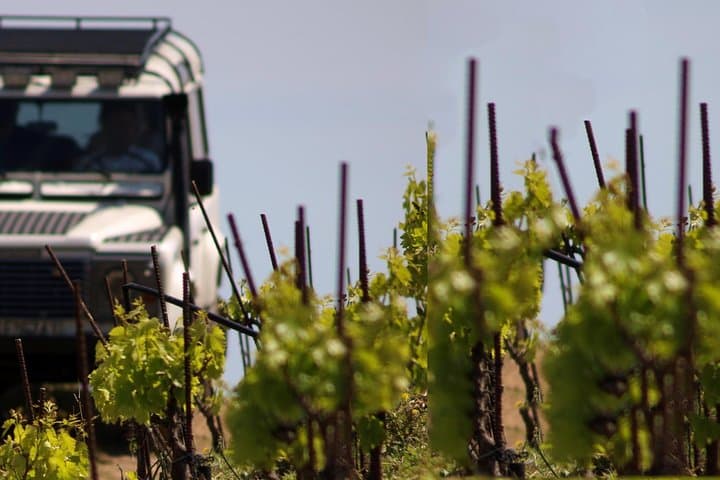 Off-Road to the Vines: Half-Day Chania Vineyard & Manousakis Winery Tour