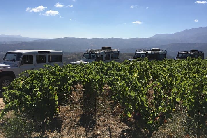 Off-Road to the Vines: Half-Day Chania Vineyard & Manousakis Winery Tour photo 6